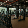 Best 11 Gyms In Toronto, Canada For Workout