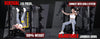 PMAX 4750 Dual Plate Loaded Multi Functional Smith Machine